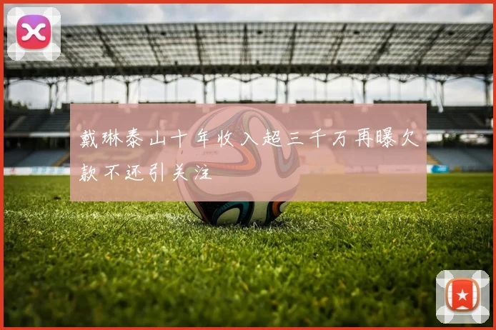 戴琳泰山十年收入超三千万再曝欠款不还引关注