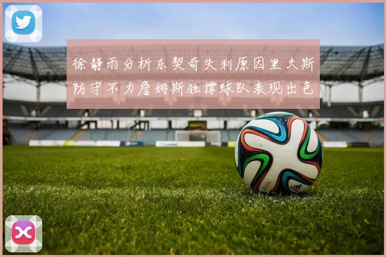 徐静雨分析东契奇失利原因里夫斯防守不力詹姆斯独撑球队表现出色