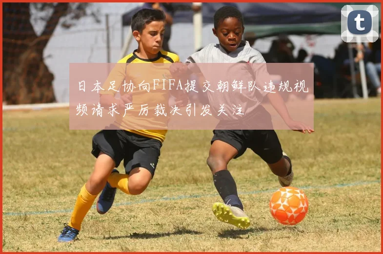日本足协向FIFA提交朝鲜队违规视频请求严厉裁决引发关注